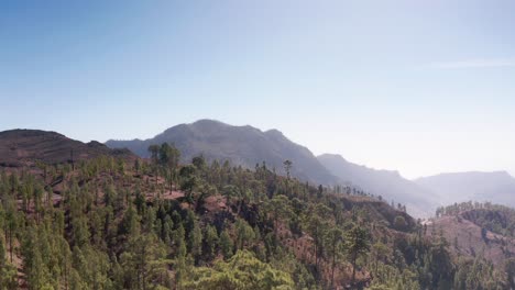 Luftaufnahme-Einer-Drohne-über-Der-Baumgrenze-In-Den-Bergen-Auf-Gran-Canaria,-Spanien