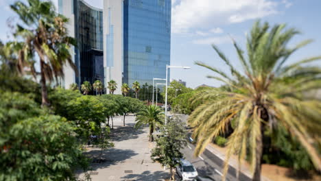 barcelona mirrored glass skyscraper with clouds in the sky and wind blowing palm trees