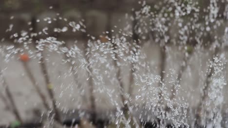 closeup fountain. motion of fountain. fountain in the garden.