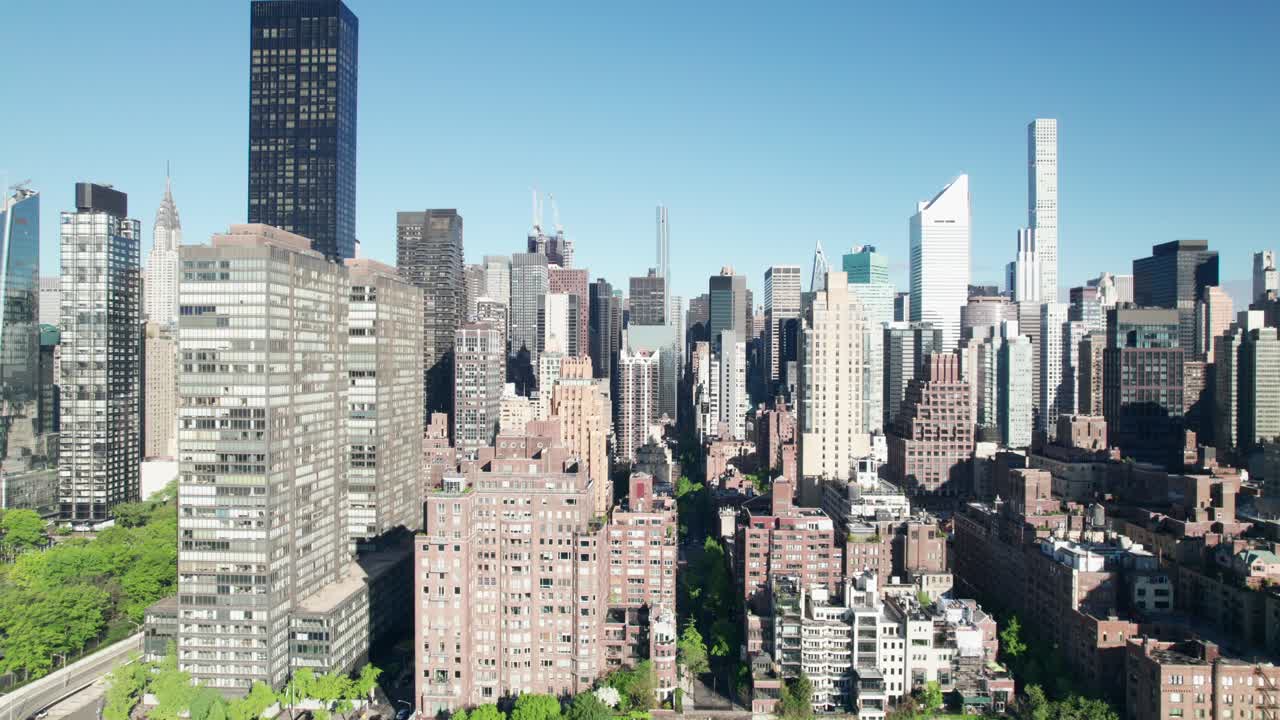 뉴욕의 도시 정글