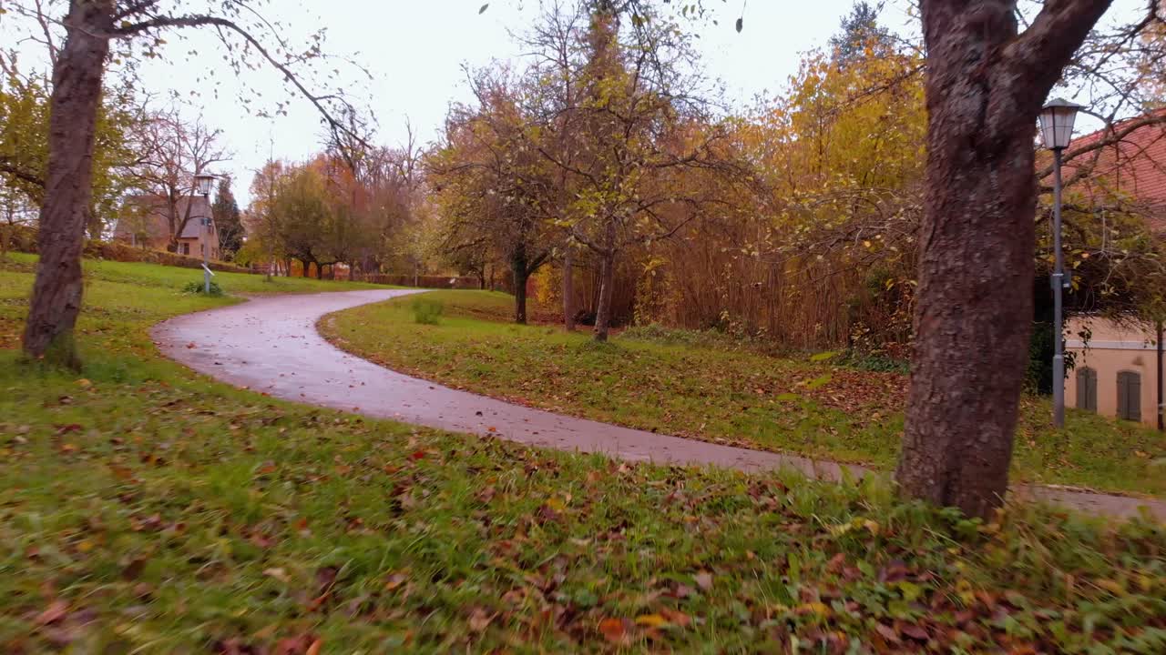 드론이 초원 위로 빠르고 가까이 날아가서 물체를 통과하고 초원 위를 계속 날아갑니다.