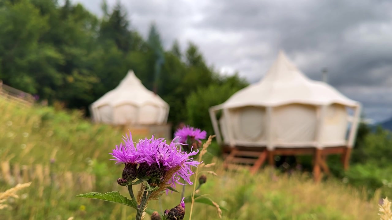 Vildblomstcamping i Italiens naturlige højland i luksuriøs glamping-indkvartering på Sardinien, europæisk sommer, bjerg, naturskøn, panoramisk retræte, vildmark, fredfyldt flugt, eventyrturisme, skovområde