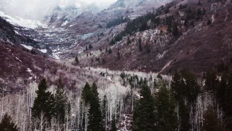 Fliegen-über-Kiefernwälder-Durch-Malerische-Wasatch-Berge-Im-Winter-Im-Hobble-Creek-Canyon,-Utah
