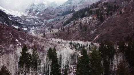 Flying-Above-Pine-Forest-Through-Picturesque-Wasatch-Mountains-At-Winter-In-Hobble-Creek-Canyon,-Utah