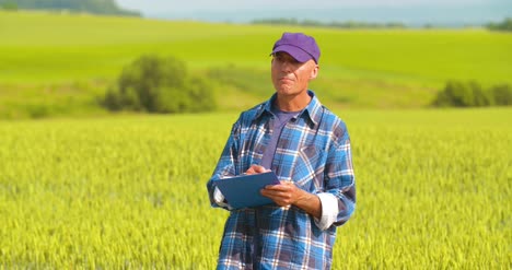 male farmer analyzing wheat while making report 2