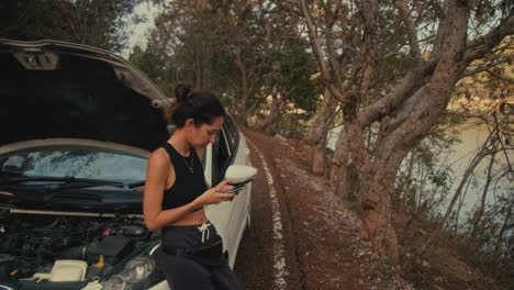 woman with a broken down car on the roadside