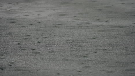 rainfall creates ripples on a water surface, enhancing the tranquil ambiance with a grey, overcast sky