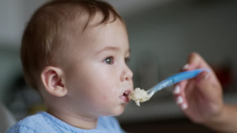 sweet kid holds still while being fed distracted by something. mother shaking spoon before child's mouth so to open his mouth. close up.