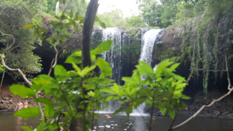 Increíbles-Tomas-De-Una-Cascada-Que-Se-Asoma-Detrás-De-Un-Exuberante-Follaje-Verde