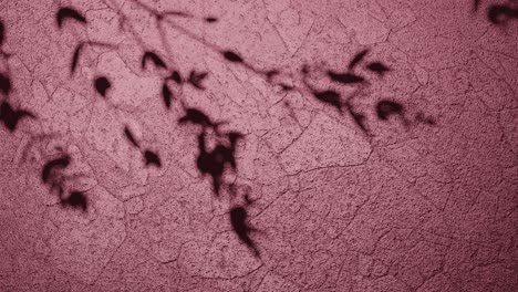 sombras de la naturaleza en la superficie de textura roja vertical