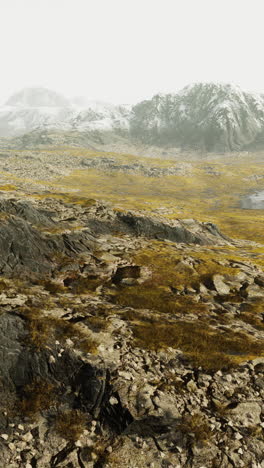 snowy mountain range with grassy meadow