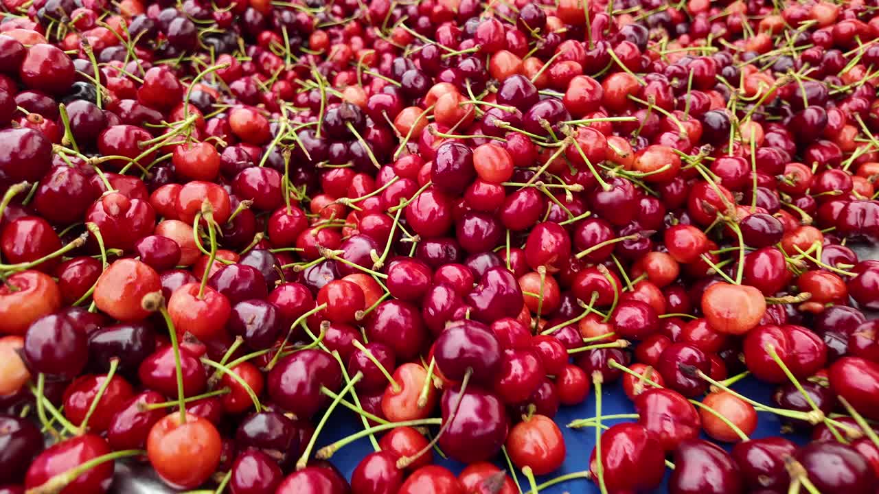 Tumpukan Melimpah Ceri Merah Matang