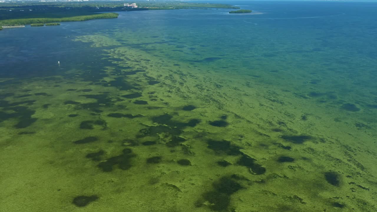 Le acque costiere mostrano i dettagli dei fondali bassi con chiazze di vegetazione sottomarina. In lontananza è visibile la costa, circondata da terra verde e da un cielo pallido.