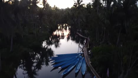 maasin river palm forest in siargao at sunset, aerial