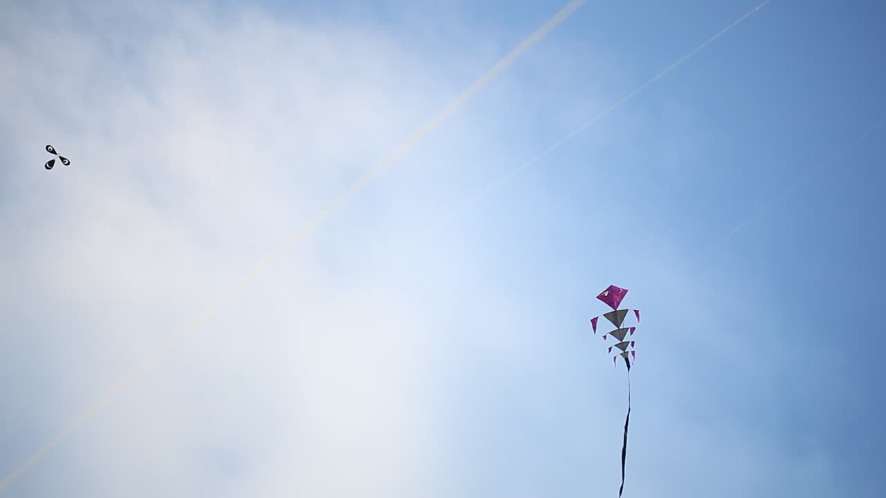 파란 하늘 배경으로 독특한 kite 비행