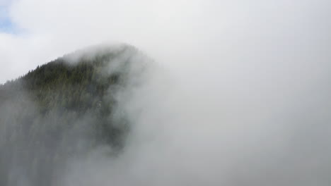 olympic peninsula green mountain with lush forest in washington, usa