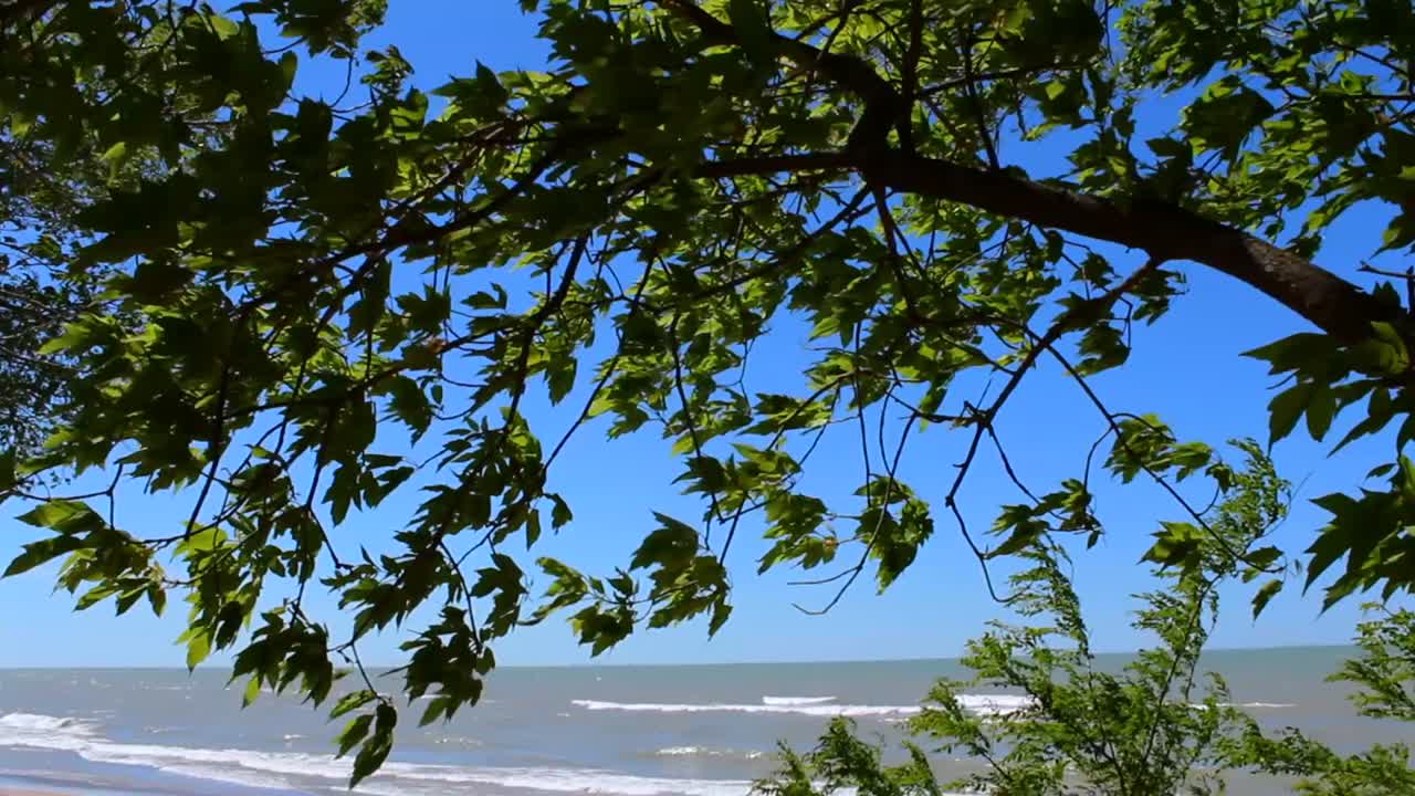 Calm beach scene at Indiana Dunes National Park. Sand dunes, gentle waves, and vibrant greenery under clear blue skies create a tranquil, serene atmosphere