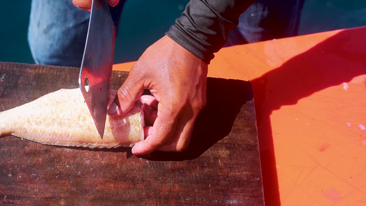 A person skillfully fillets a fish on a boat under bright sunlight, showcasing precise knife work