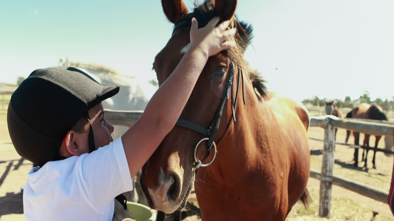 niño tocando el caballo marrón en el rancho 4k