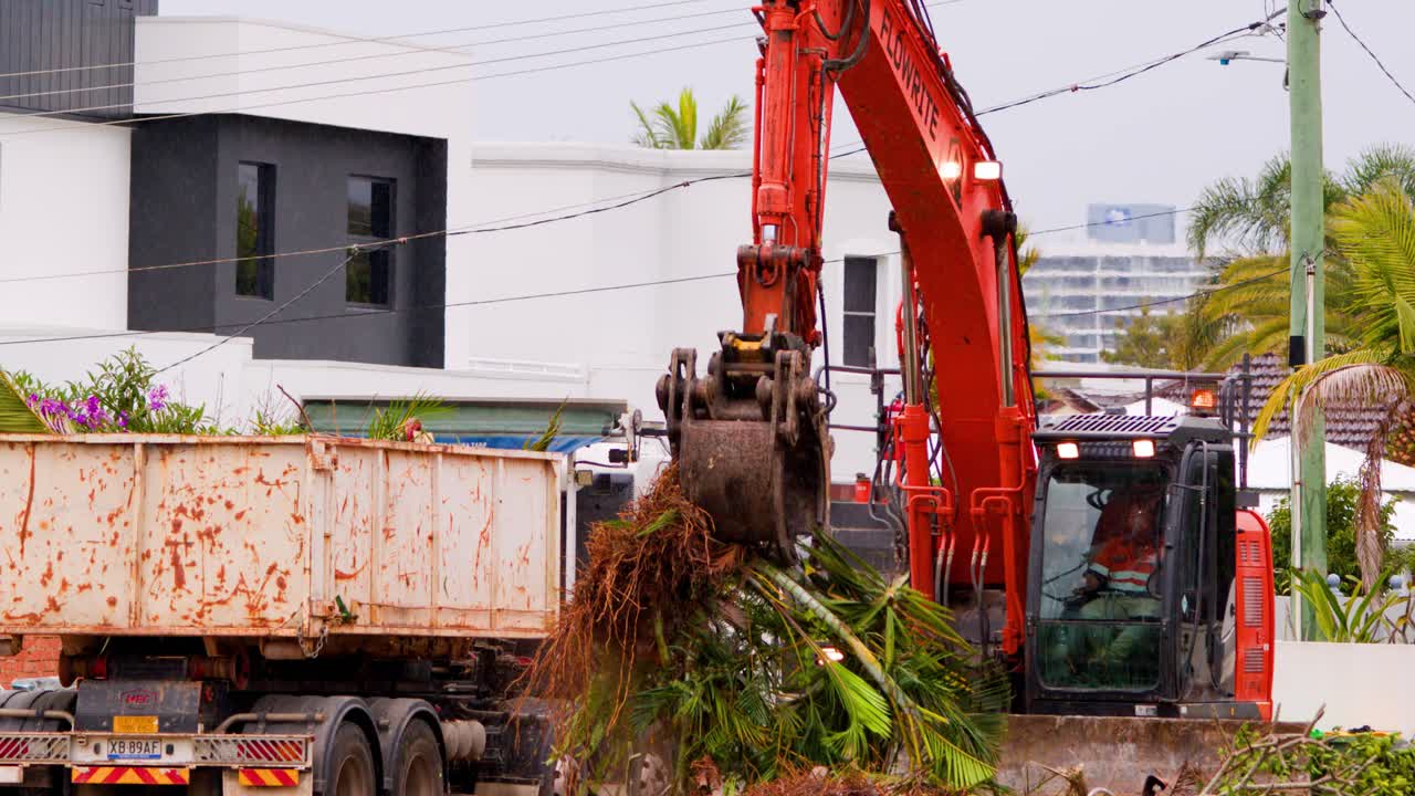An excavator uses its hydraulic arm to lift and load palm tree debris into a dump truck at a modern urban construction site in daylight