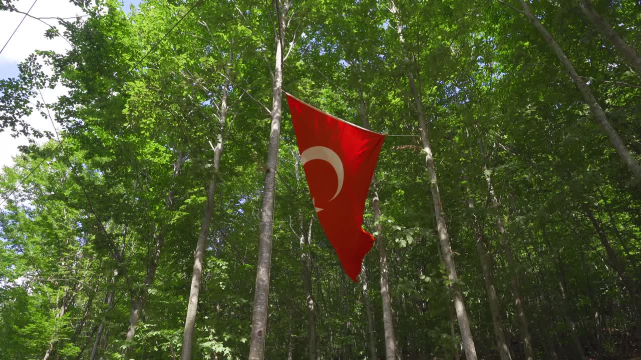 Doğada dalgalanan Türk bayrağı