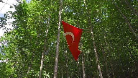 turkish flag hanging in nature.