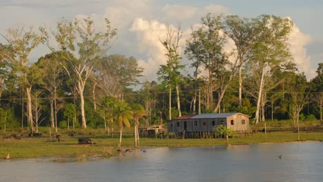 native tribal people and communities in the middle of the amazonia rainforest, brazil wooden house over the rio river amazonia