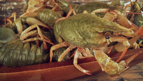 live crayfish on a wooden table