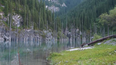 喀薩克斯坦的凱恩迪湖 (kaindy lake),也稱為<unk>樹湖或水下森林