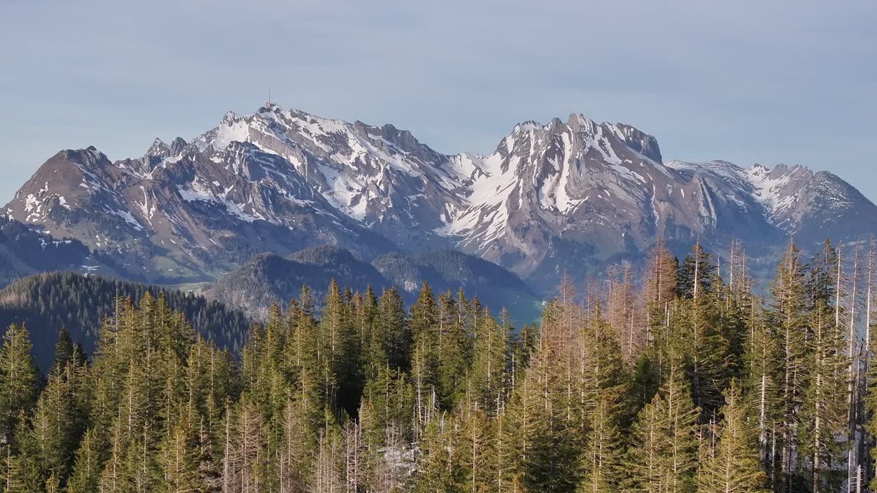 Un'affascinante avanzata aerea su una splendida pineta con l'imponente monte Säntis sullo sfondo