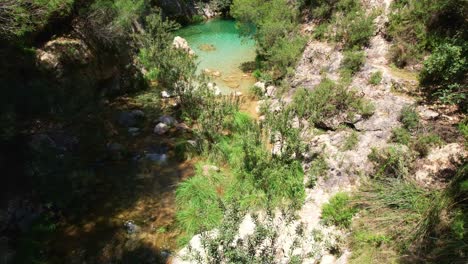 Río-Con-Coloridas-Aguas-Verdes