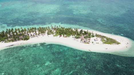 aerial trucking pan along coconut palm tree forest on white sandy beach shoreline