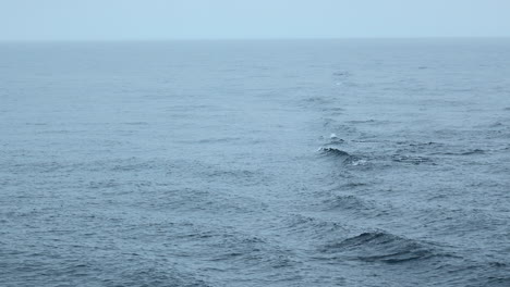 ocean waves on a cloudy day