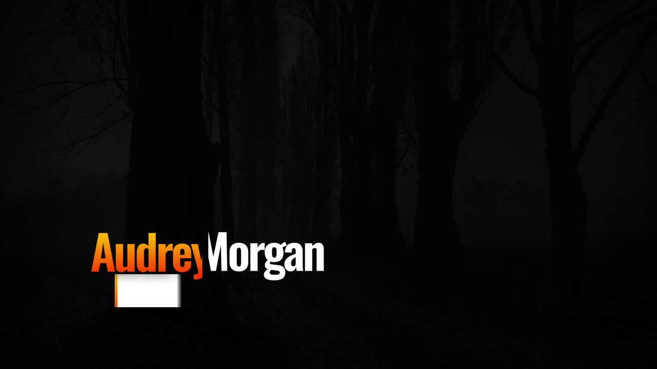 Foresta oscura e inquietante di notte