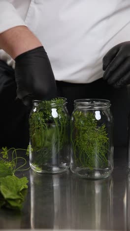 pickling vegetables with herbs