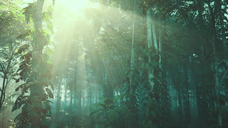 rayos de sol en un bosque verde y exuberante