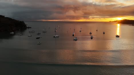 aerial view of sailboats moored near the shore in oneroa, waiheke island, new zealand during golden hour. the warm morning light reflects on the calm water, creating a tranquil coastal scene.