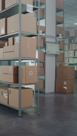 warehouse storage with cardboard boxes on shelving