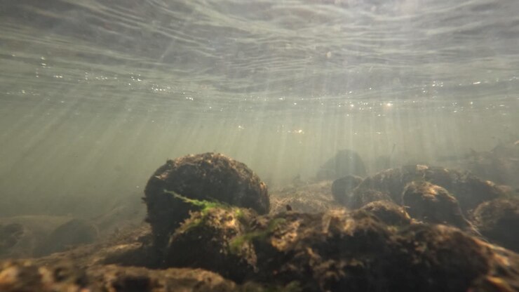 Zonlicht dat door water op rotsen filtert