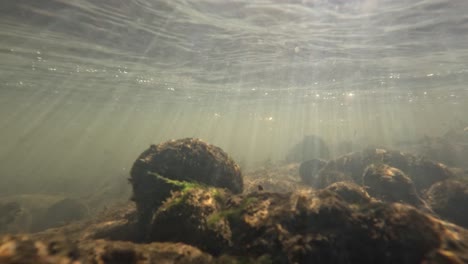 la luz del sol filtrándose a través del agua en las rocas