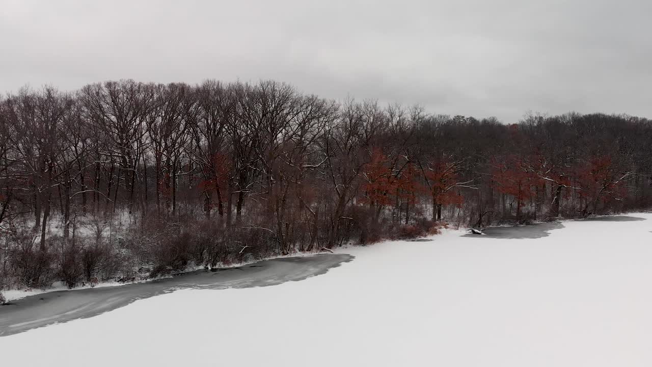 얼어붙은 호수 위의 공중 드론과 겨울 4k의 눈 덮힌 숲 나무