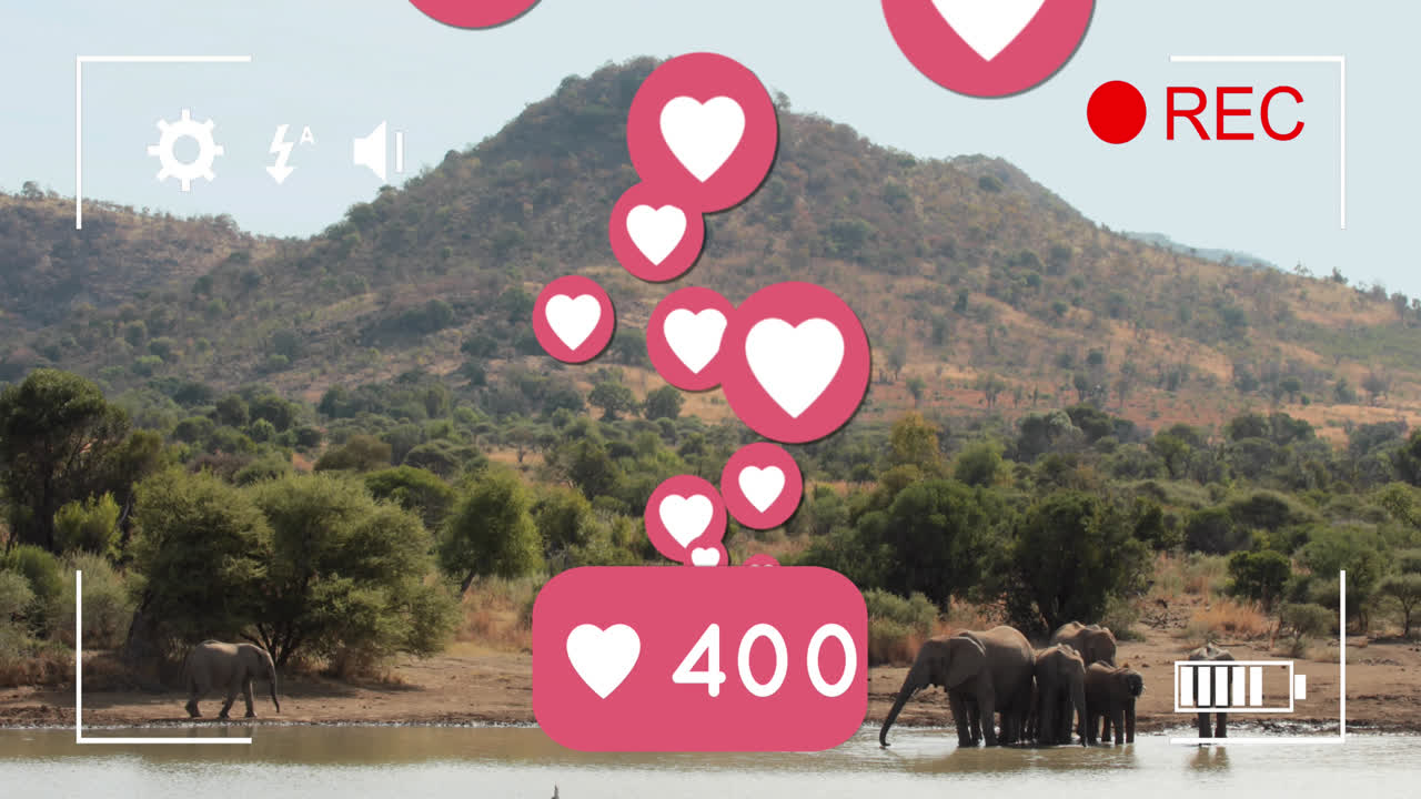 animación de iconos de los medios sobre los elefantes