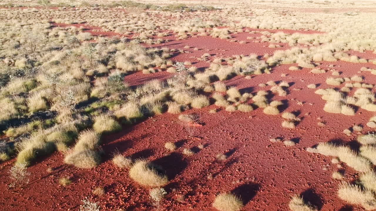 Vídeo cinematográfico de drone entre arbustos e plantas em estrada rural de areia vermelha com poeira no horizonte australiano