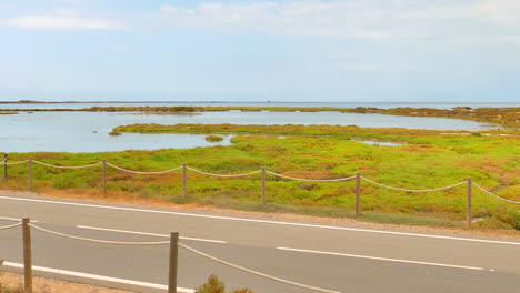 protected nature with grassy wetlands near paved road