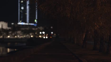 night city walkway with trees