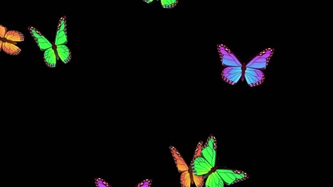 hermosa animación de diseño de primavera y verano con mariposas en fondo transparente con canal alfa. imágenes de stock animadas en bucle. mariposas coloridas volando en estilo 2d