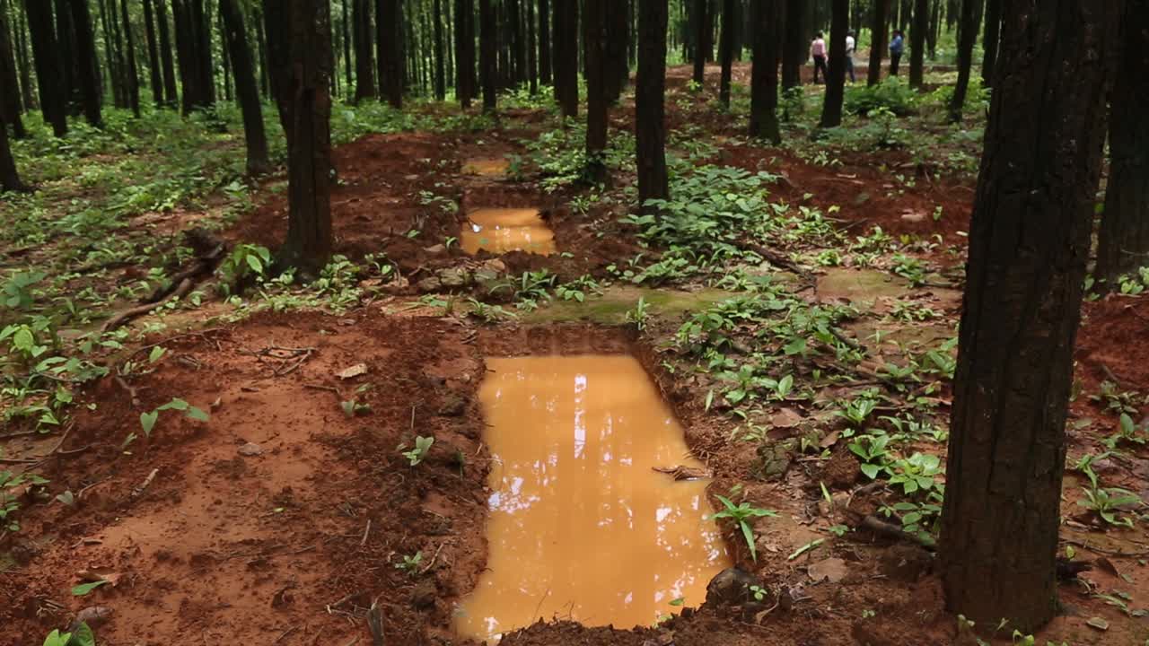 빗물 수확 기술 이 기술은 경사면, 강, 날라스를 통해 낭비되는 물을 절약하기 위해 채택되었습니다.