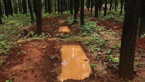 técnica de recolección de agua de lluvia esta técnica se adopta para ahorrar agua que se desperdicia a través de laderas, ríos, nalas