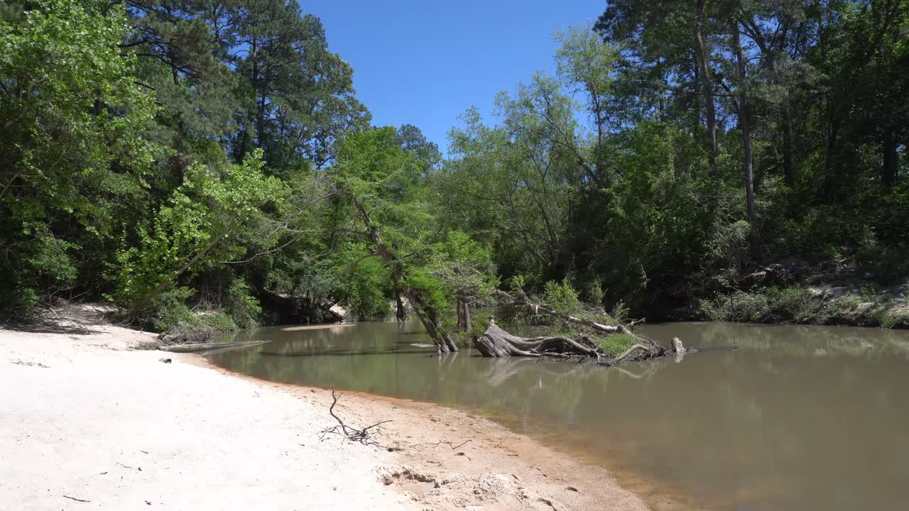 este es un clip de video de un pequeño río, fluyendo más allá de una playa, con un par de árboles caídos en el medio del río