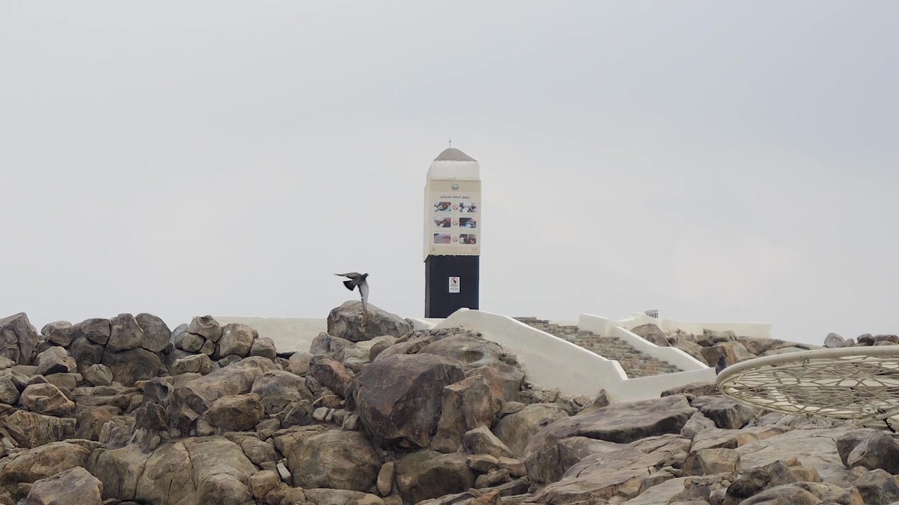 Pigeon Flying Near a Coastal Monument